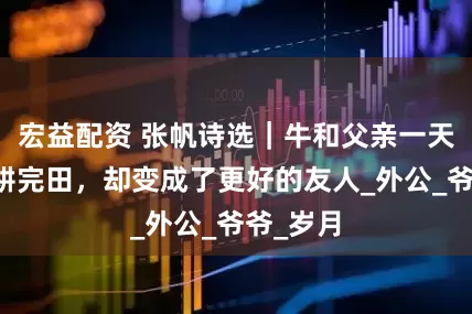 宏益配资 张帆诗选｜牛和父亲一天也没有耕完田，却变成了更好的友人_外公_爷爷_岁月