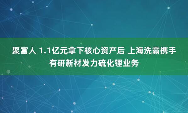 聚富人 1.1亿元拿下核心资产后 上海洗霸携手有研新材发力硫化锂业务