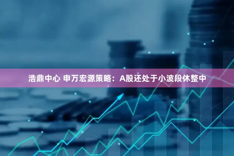浩鼎中心 申万宏源策略：A股还处于小波段休整中