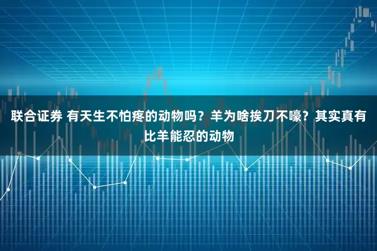 联合证券 有天生不怕疼的动物吗？羊为啥挨刀不嚎？其实真有比羊能忍的动物